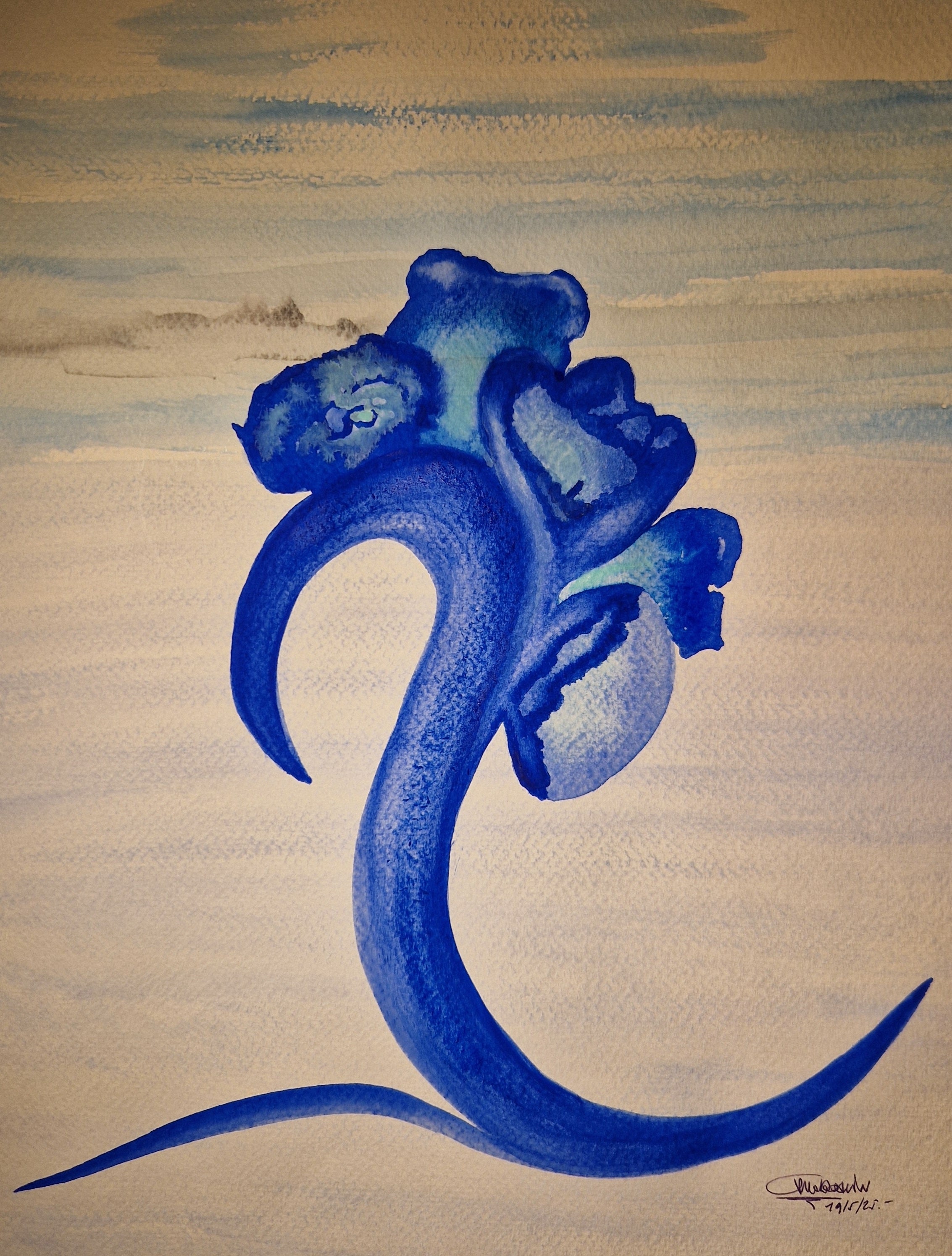 250519.1<br>19 Maggio 2025<br>(dim. 50x70 cm)