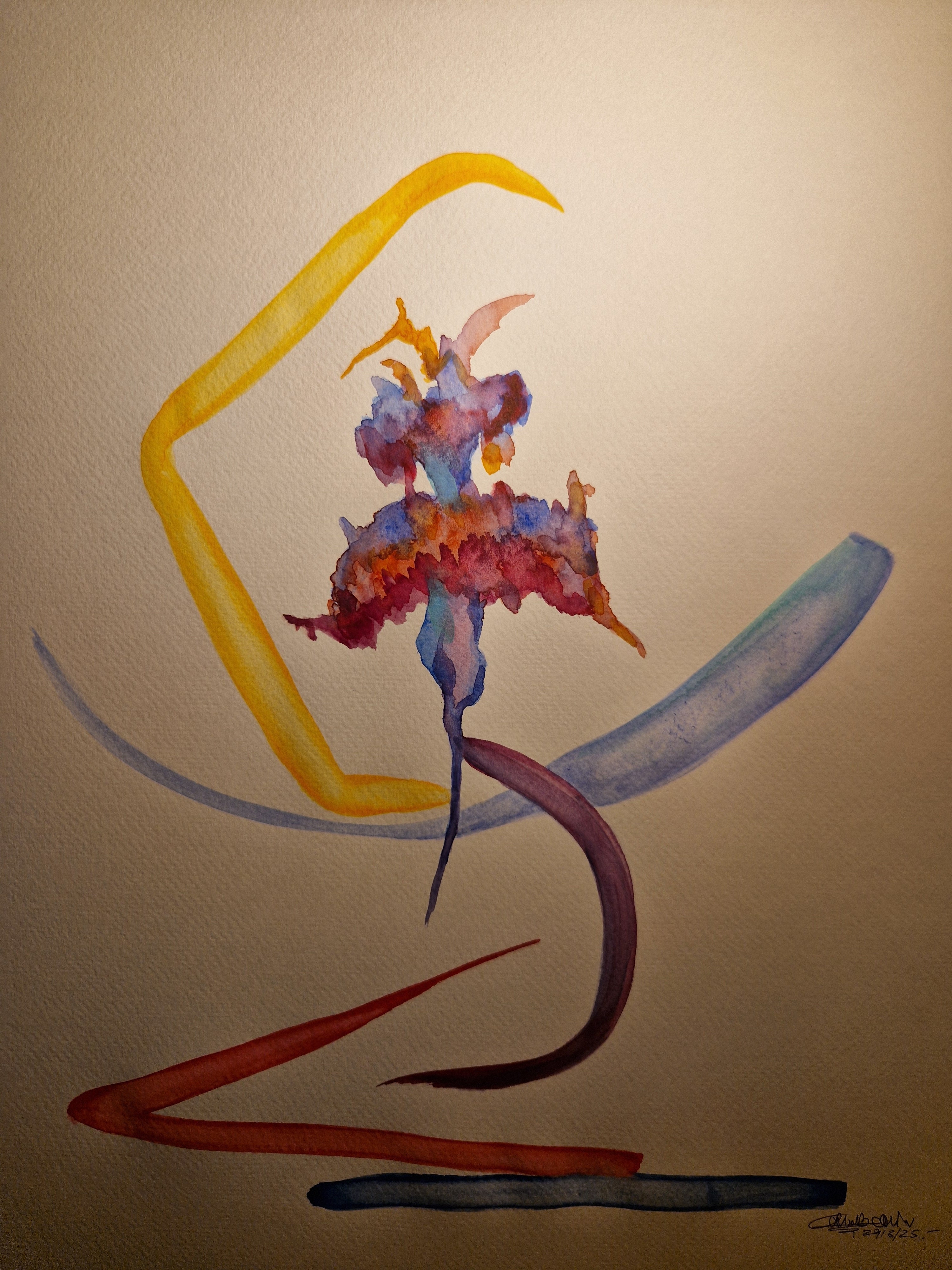 250829.1<br>29 Agosto 2025<br>(dim. 50x70 cm)