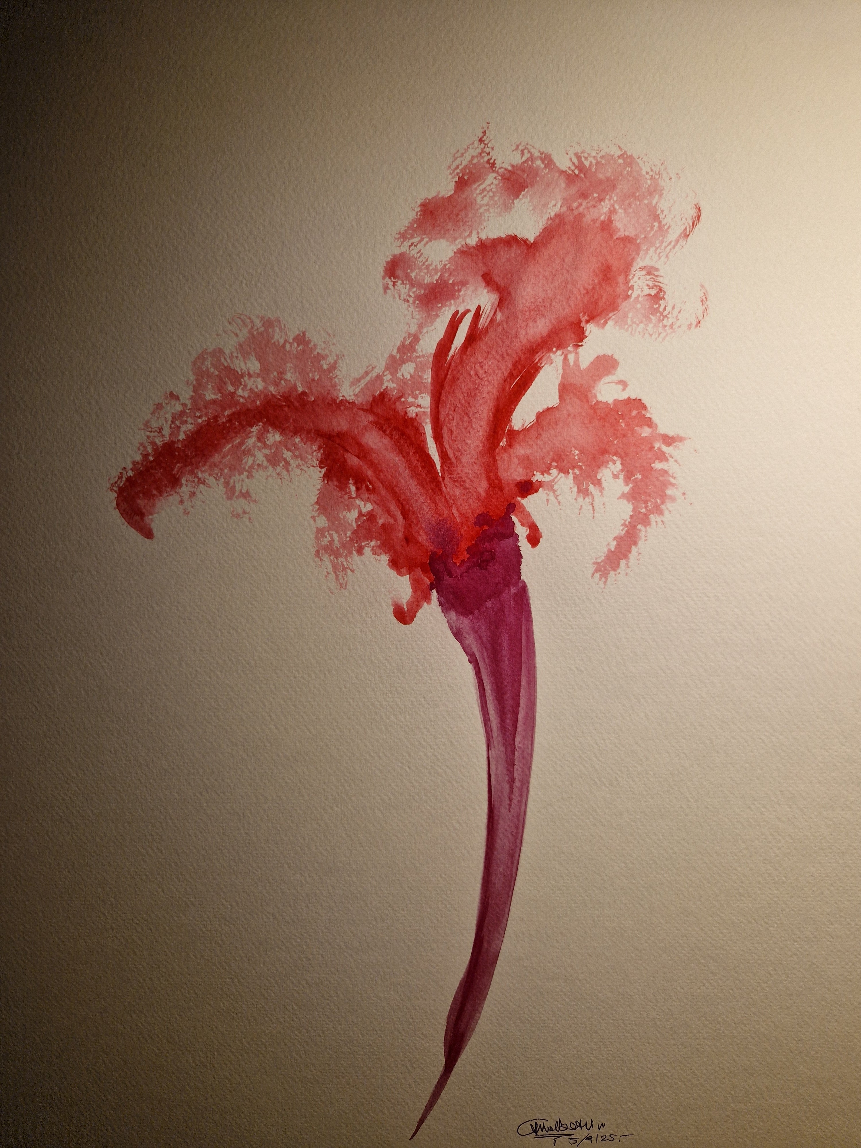 250905.1<br>5 Settembre 2025<br>(dim. 50x70 cm)