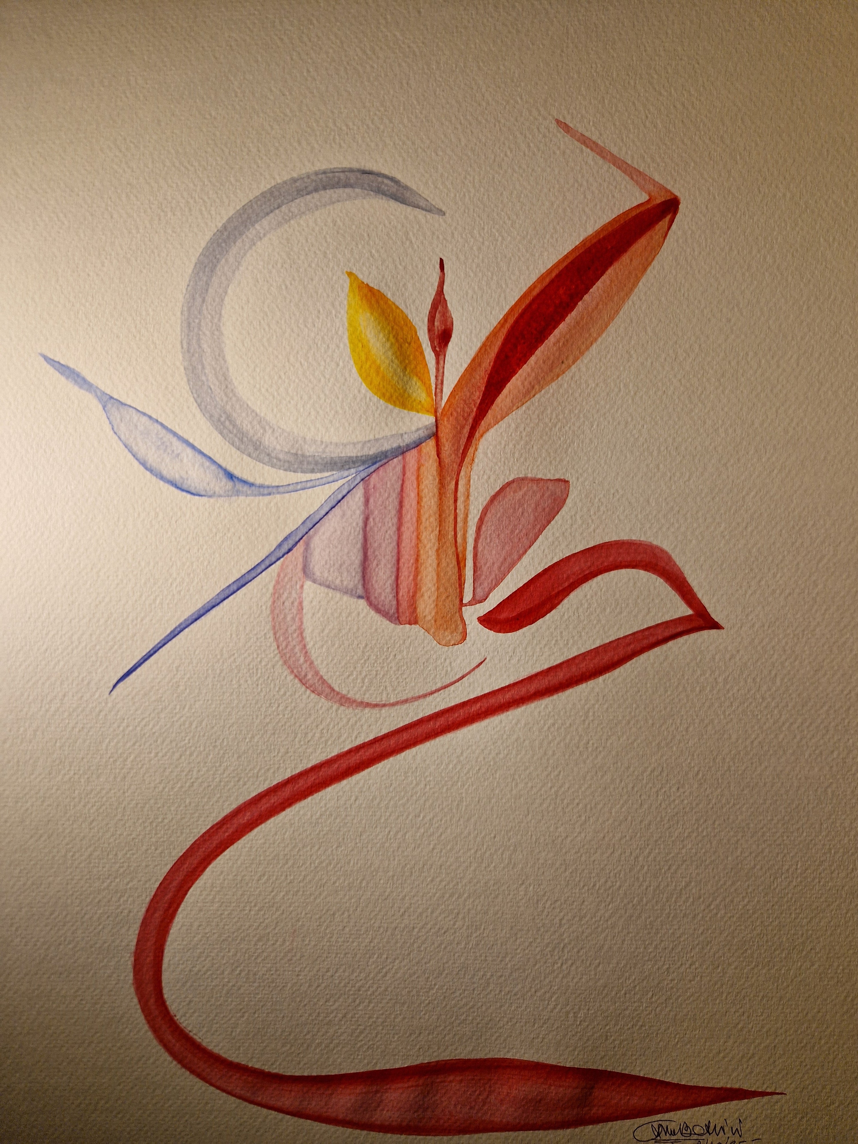 251007.1<br>7 Ottobre 2025<br>(dim. 50x70 cm)