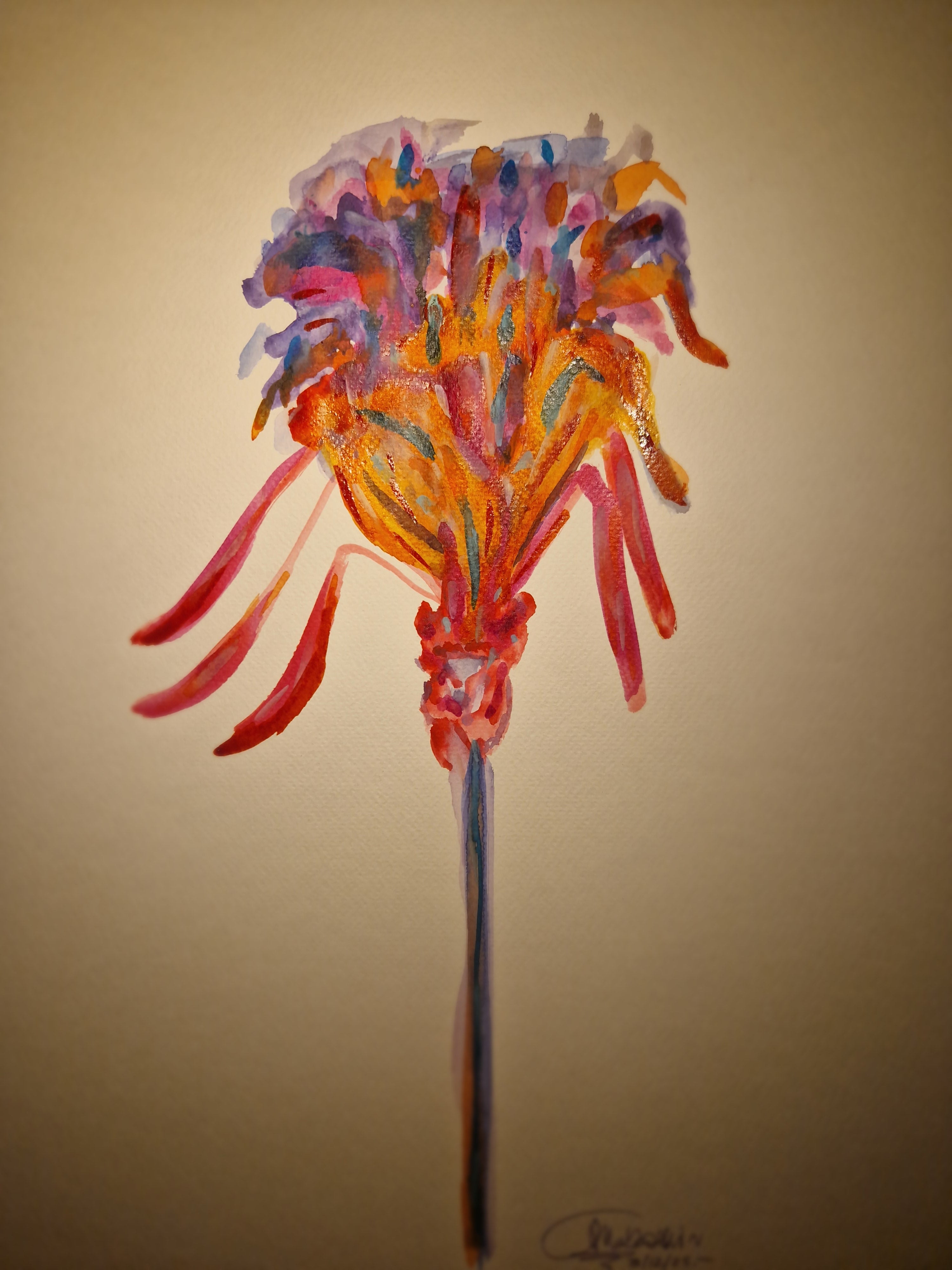 251203.1<br>3 Dicembre 2025<br>(dim. 50x70 cm)